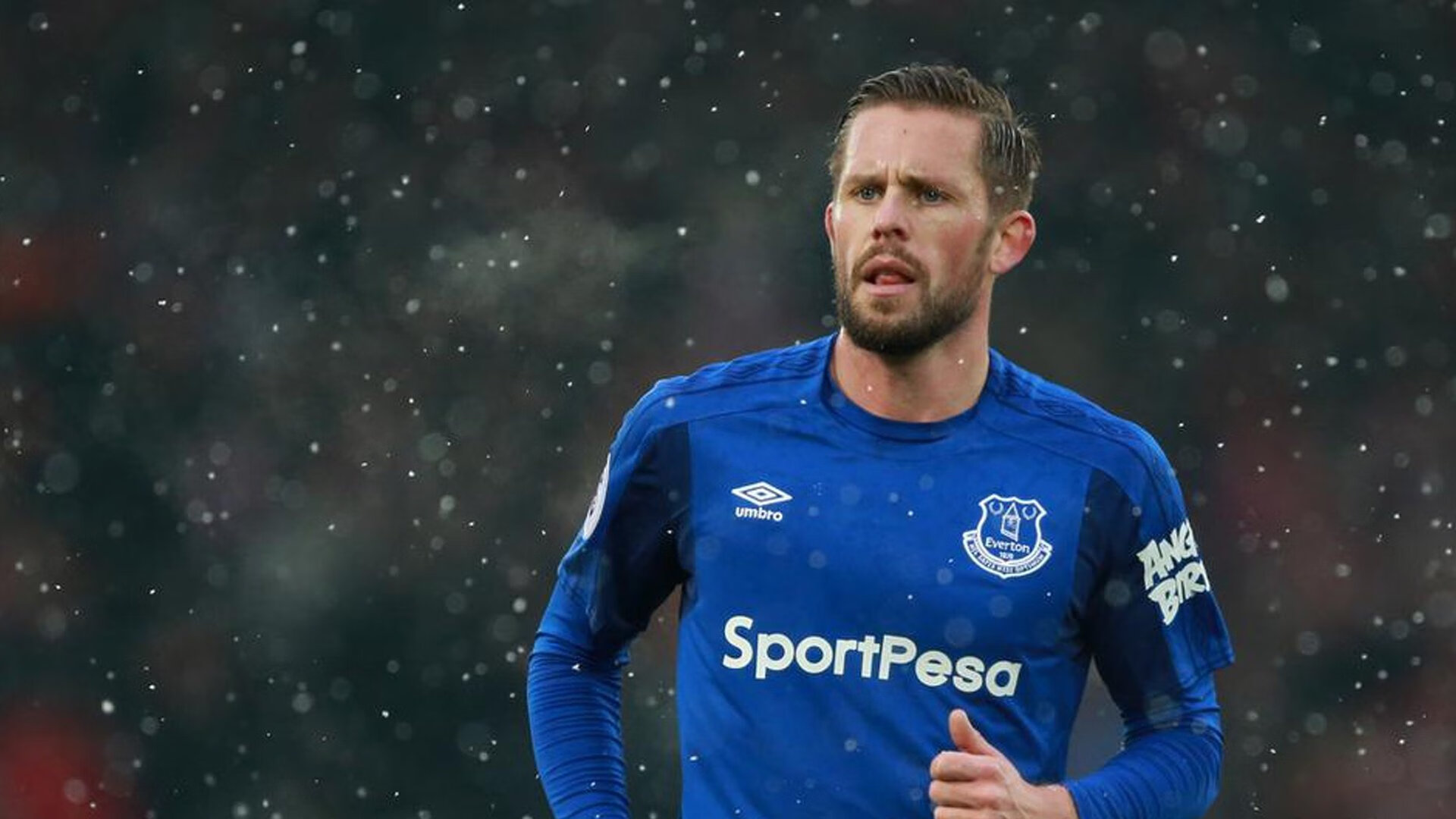 足球明星进球数据排行榜